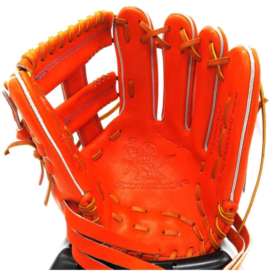 Rawlings（ローリングス） 硬式グラブ Rawlings HOH プレミアム RGGC