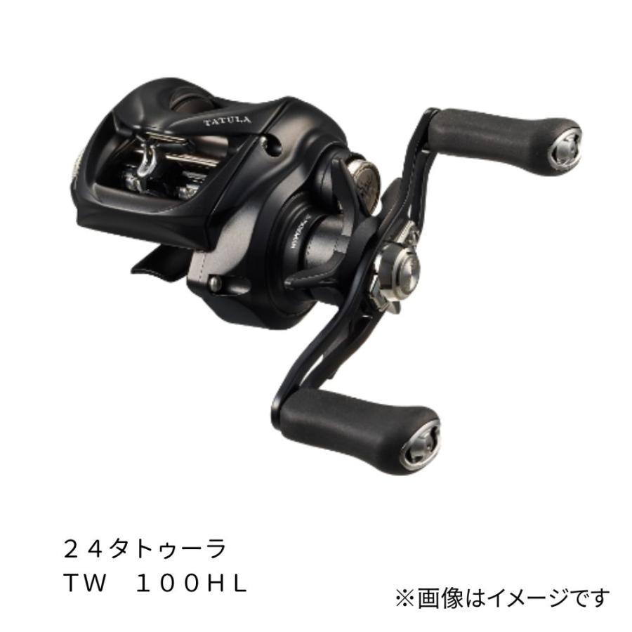 DAIWA（ダイワ） 24 タトゥーラ TW 100HL (TATULA TW 100HL) : つり具