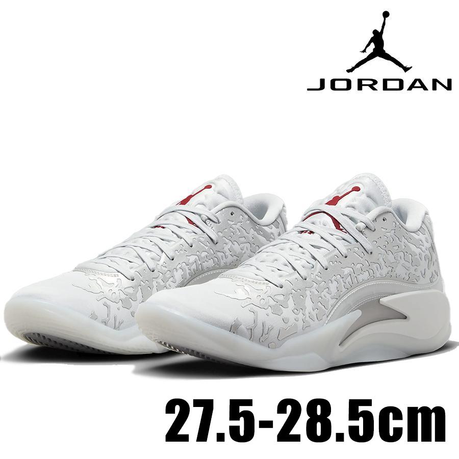 Jordan NIKE JORDAN ZION 3 PF ザイオン DR0676 016 メンズ シルバー