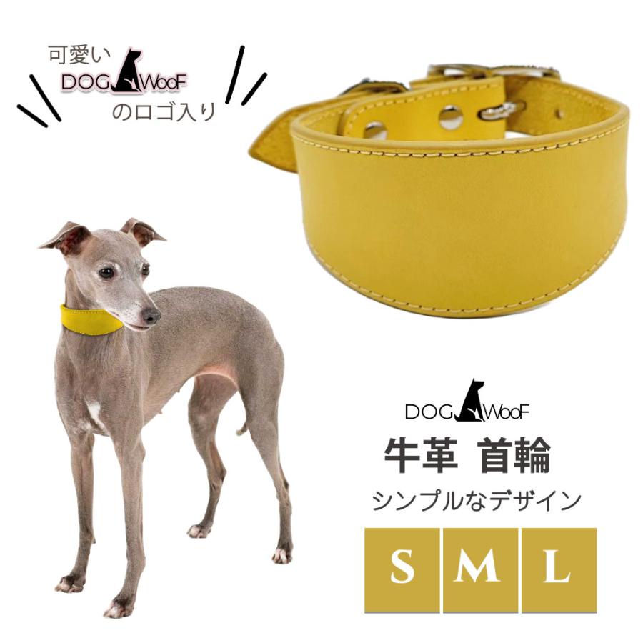 首輪 イタグレ ミニピン ウィペット サルーキ 専用首輪 長さ35cm 幅4cm