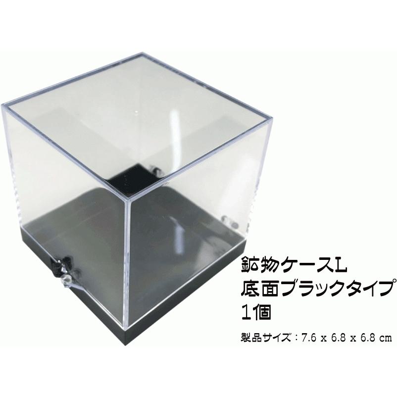 鉱物ケース Lサイズ 1個 サムネイルケース 標本ケース : ミネラル屋