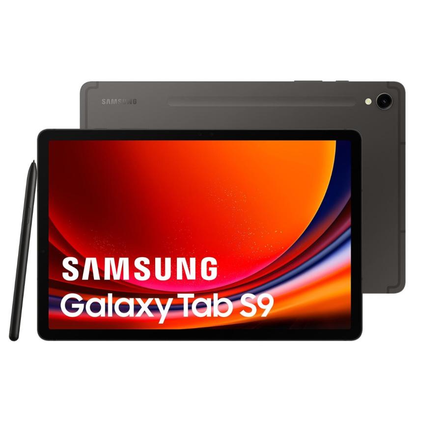 Galaxy Tab Samsung S9 X716 8GB RAM 128GB セルラーモデル グレー 11