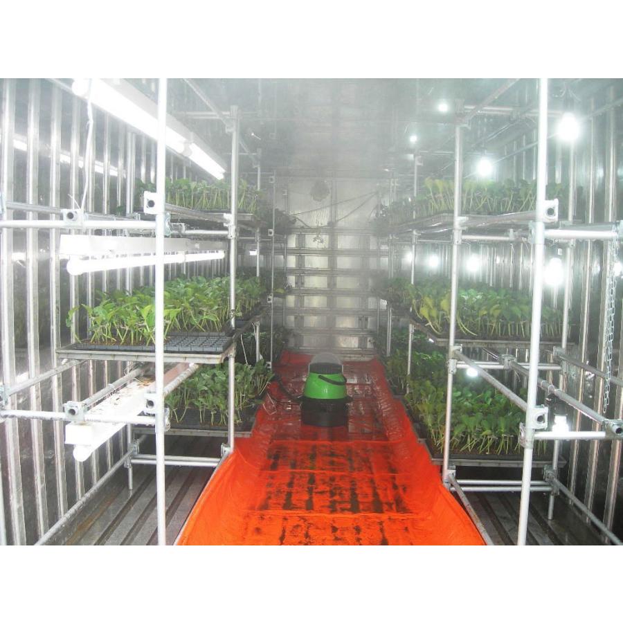 遠心式加湿器 TL5500 遠心力の作用で4,000cc/時の大噴霧量 正規販売店