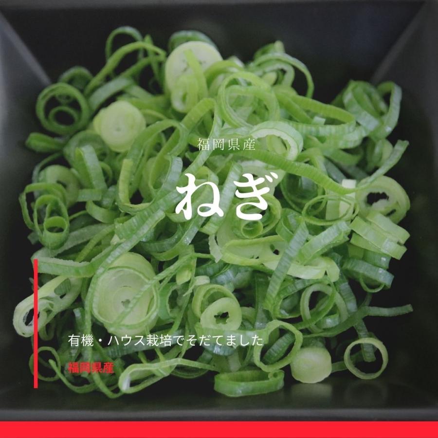 カットネギ 福岡県産1kg : ねぎのむらかみ - 通販 - Yahoo!ショッピング