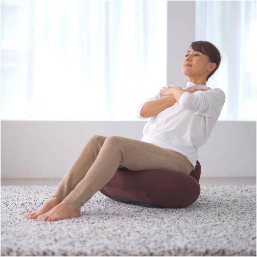 MIZUNO（ミズノ） ミズノ公式 腹筋プルレプラス ブラウン 座椅子