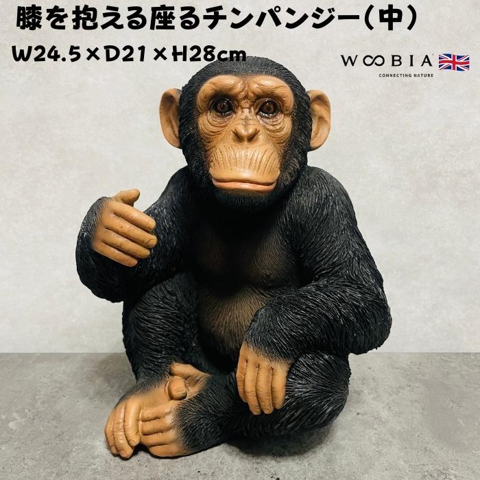 置物 動物 チンパンジー 高さ28cm おしゃれ 大きい 玄関 インテリア 庭