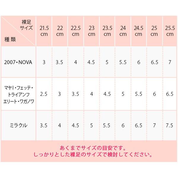 Grishko（グリシコ） トウシューズ 2007PRO FLEX プロフレックス 音が