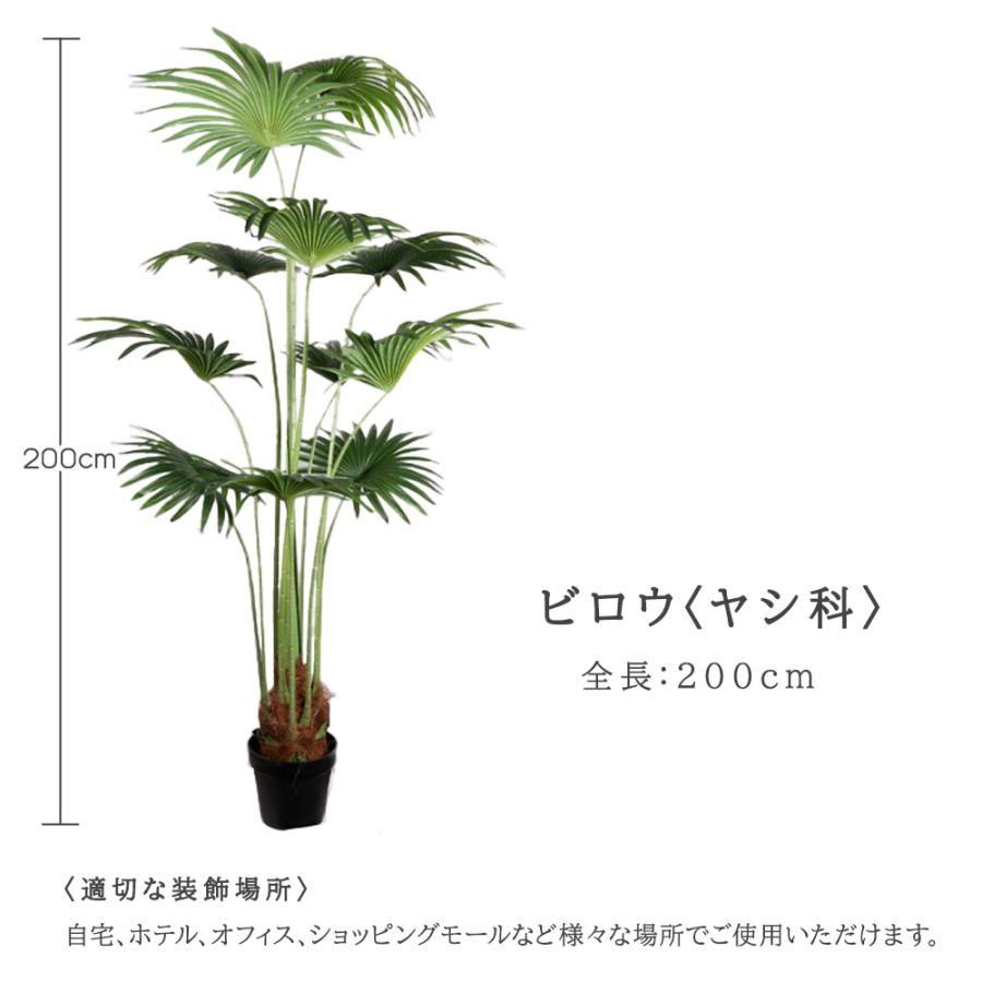 フェイクグリーン 観葉植物 リアル 人工観葉植物 高さ200cm ビロウ