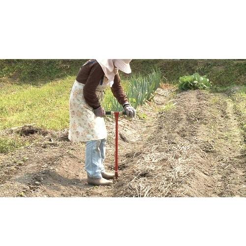 千吉 支柱用穴掘り機 25mm SGHD-25 4977292638135 [穴あけ ドリル