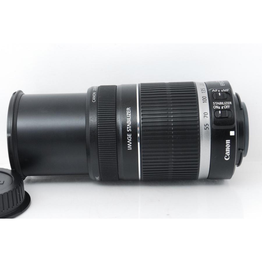 EF-S Canon キヤノン 55-250mm F4-5.6 IS 手ぶれ補正付き : 山ウサギ