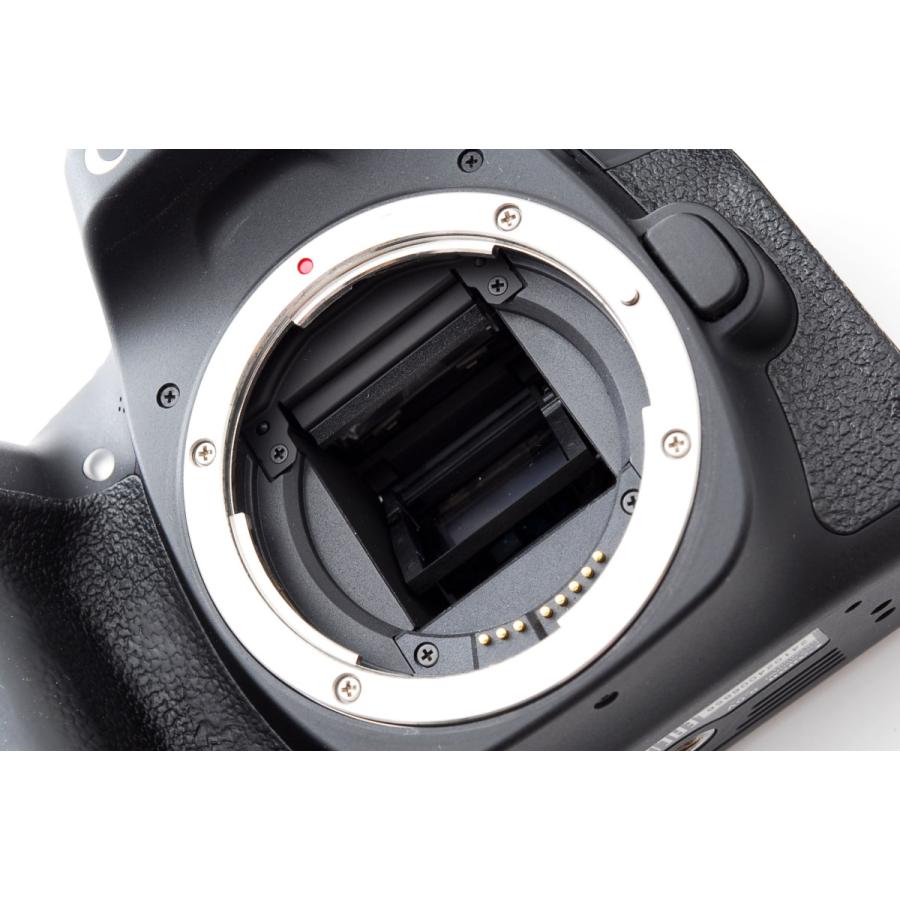 キヤノン（Canon） Canon EOS 80D ダブルズームセット バリアングル