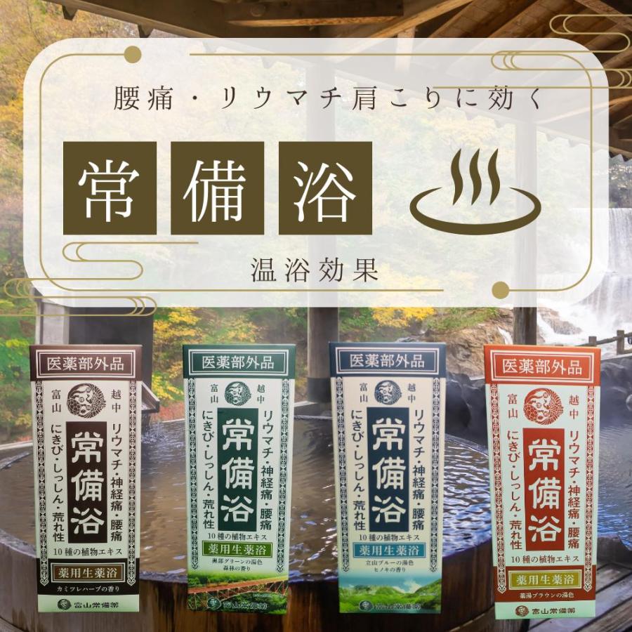 常備浴 富山常備薬 大容量400mL(20回分) 入浴剤 薬用入浴剤 温浴効果
