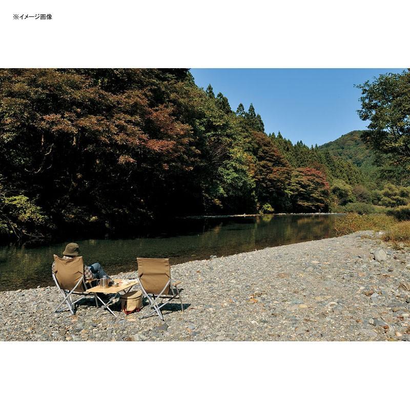 snow peak（スノーピーク） アウトドアチェア ローチェア30 ブラウン