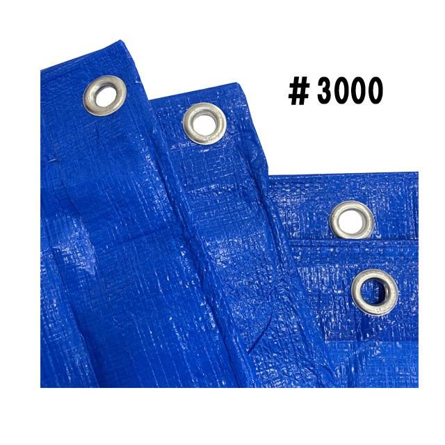 ブルーシート 厚手 #3000 10m×10m 2枚 KMネクスト 181210410 : ネット