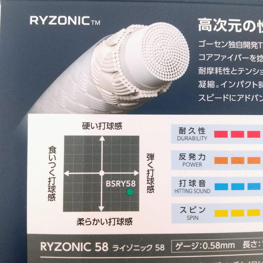 GOSEN（ゴーセン） GOSEN BSRY58 / ゴーセン ライゾニック58