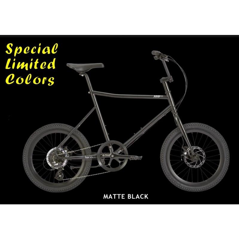 tern(ターン) AMP F1 