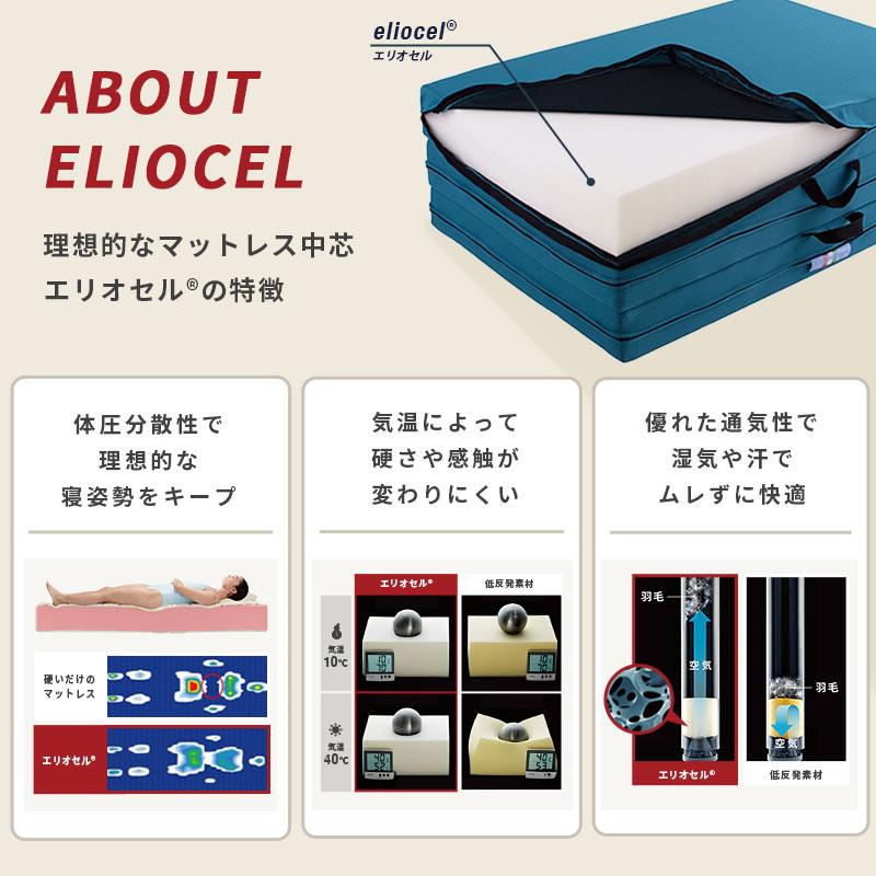 magniflex（マニフレックス） メッシュウィング クイーン マットレス