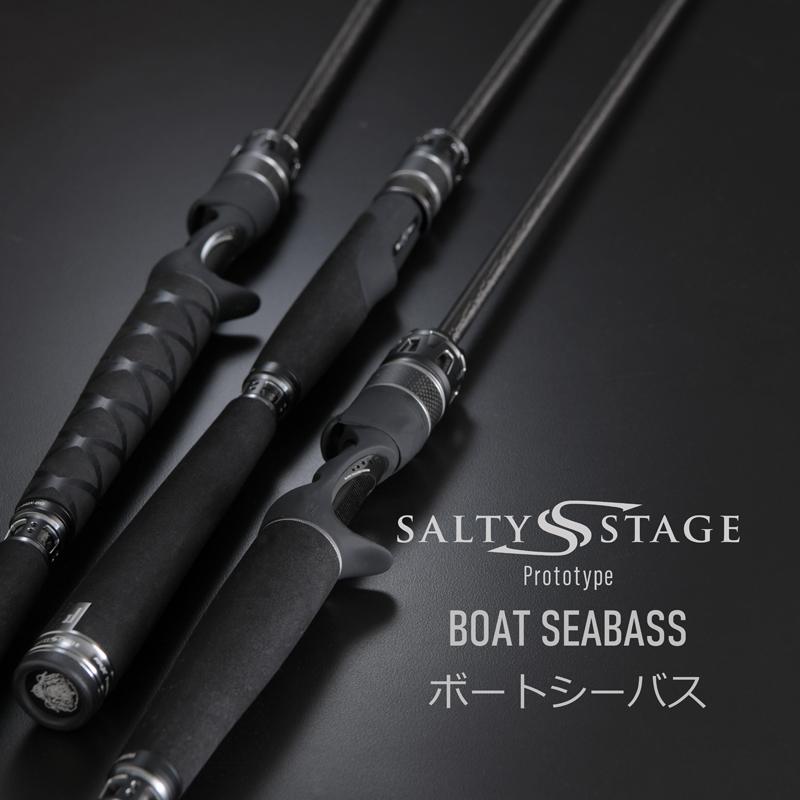 Abu Garcia（アブガルシア） シーバスロッド ソルティステージ