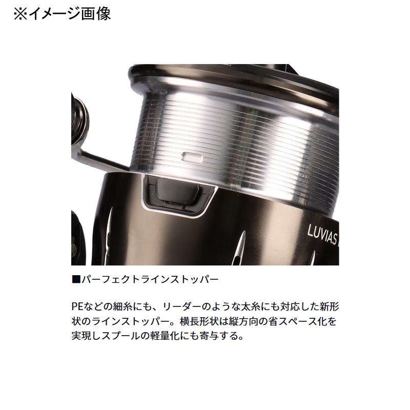 DAIWA（ダイワ） スピニングリール 24LUVIAS(ルビアス) LT2500S