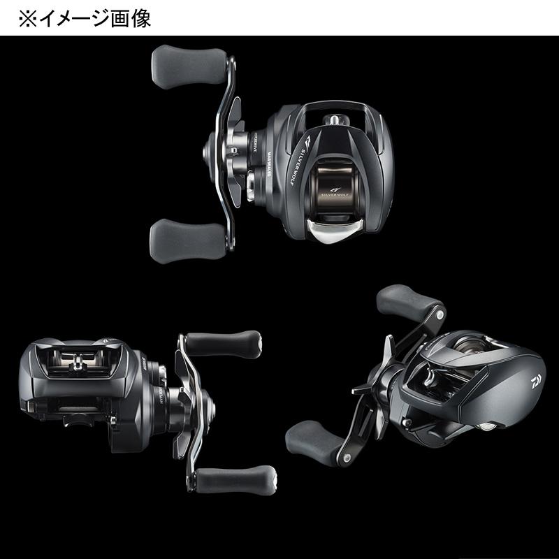 DAIWA（ダイワ） ベイトリール SILVER WOLF(シルバーウルフ)SV TW