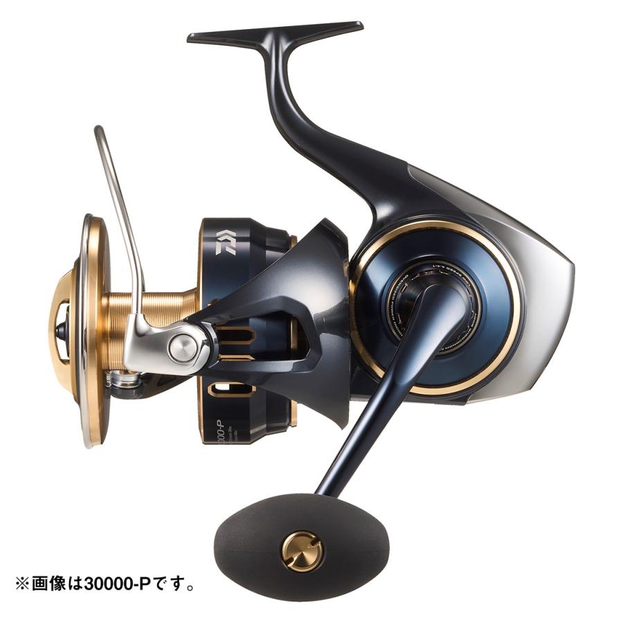 DAIWA（ダイワ） スピニングリール (予約3月発売)25ソルティガ 30000-H