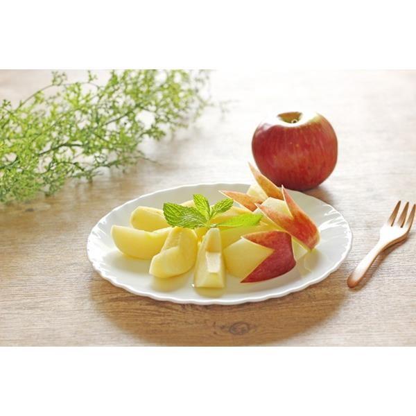 ボルミオリロッコ じょうぶな白い取皿 10枚組 セット 強化ガラス 白い