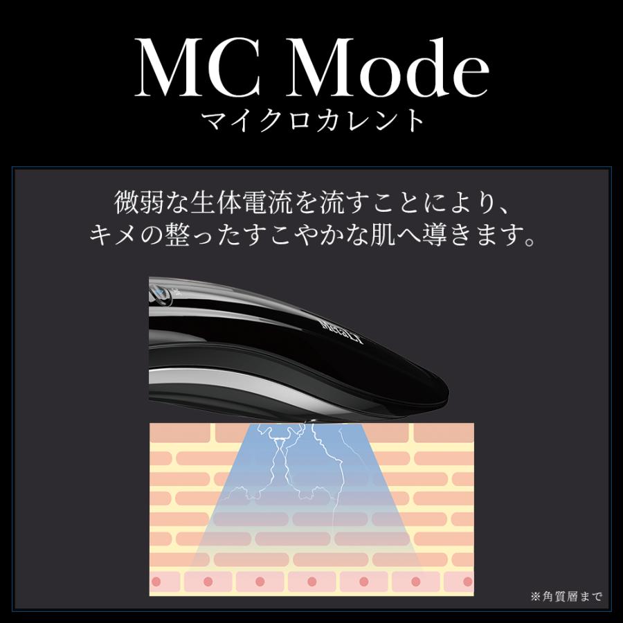 公式】 MetaLT メタエルティ 美顔器 エステ 全身 美容器 ラジオ波