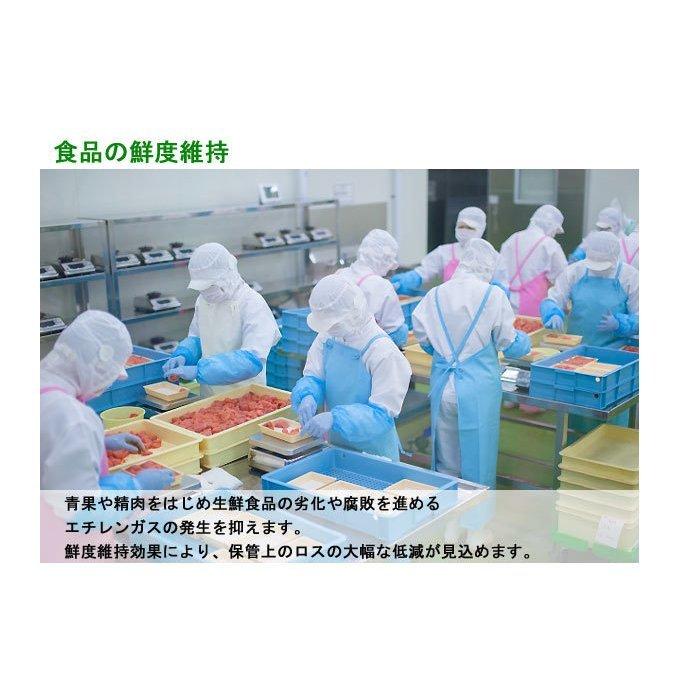 送料無料】空気浄化（除菌・脱臭）装置【レスパー】 ReSPR