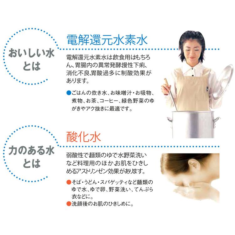 還元水素水生成器 アルテック 浄水器 電解水素水 水の都AL-440 : NIC