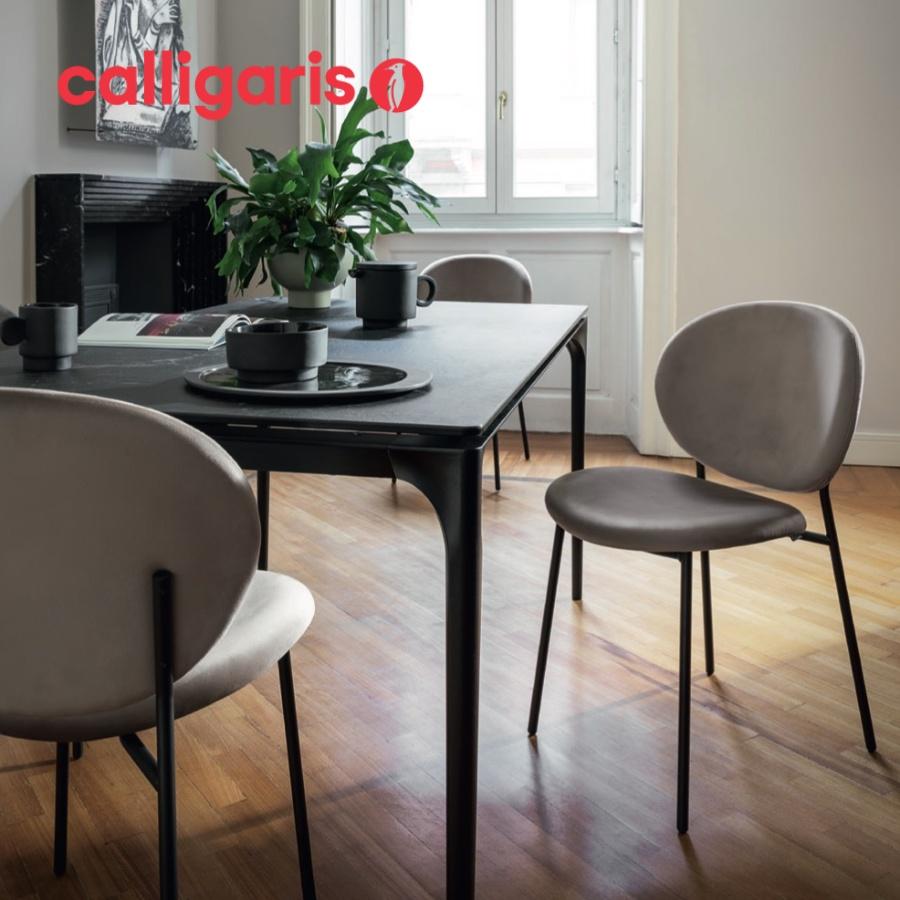 calligaris（カリガリス） 正規代理店 INES イネス CS2004-J 2脚セット