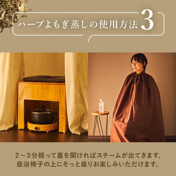 よもぎ蒸し 若葉よもぎ 国産 yomogi オーガニック JAS認証 15g×20袋入