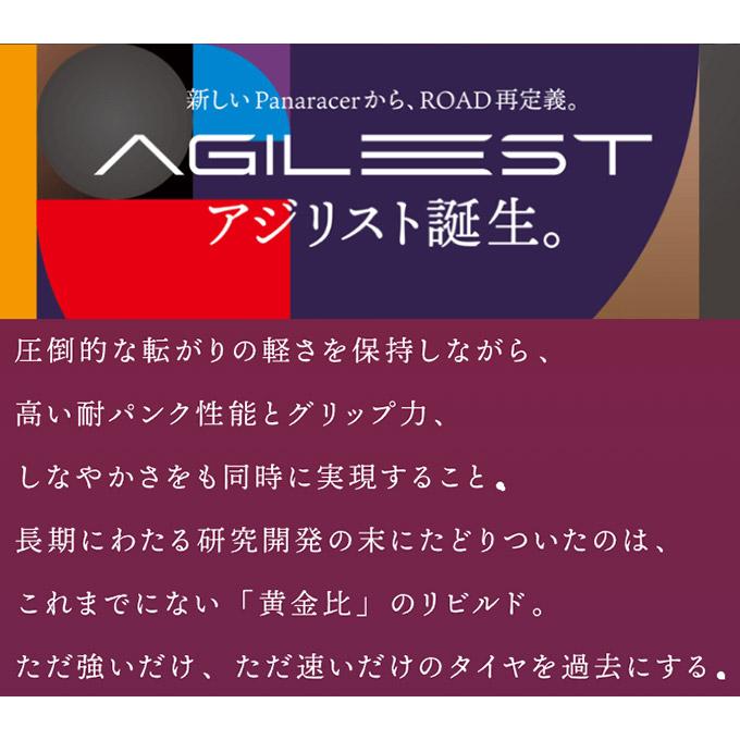 パナレーサー アジリスト 2本セット 700x23C 700x25C 700x28C 700x30C