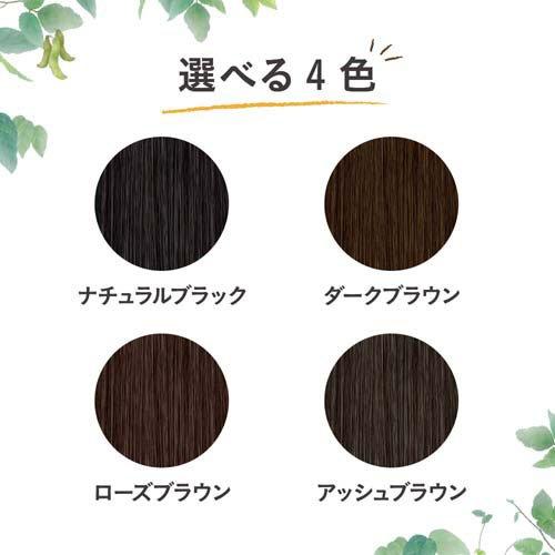 ブローネ ナチュリラ 色長持ちカラートリートメント アッシュブラウン