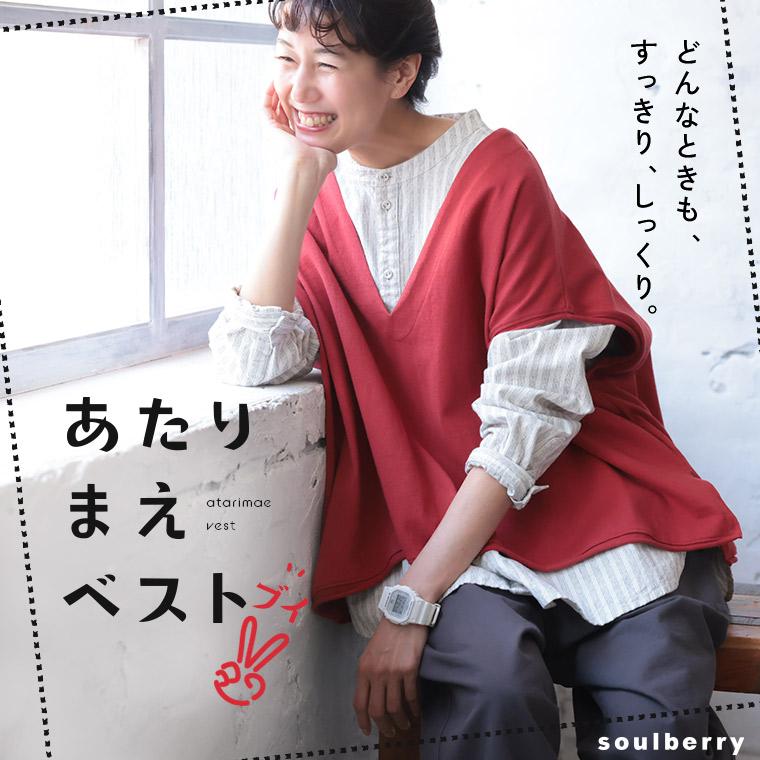 soulberry（ソウルベリー） 【ついに再入荷！】Vネックのあたりまえ