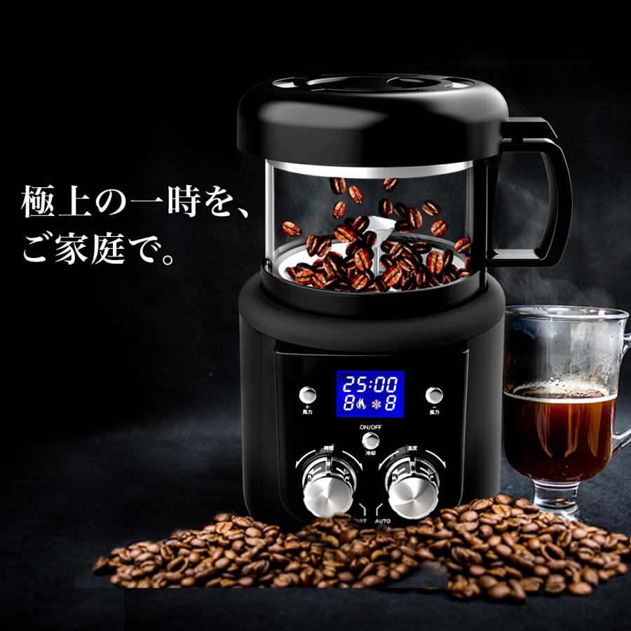 コーヒー焙煎機 珈琲 コンパクト 微調整機能 熱風式 本格焙煎機 プロ