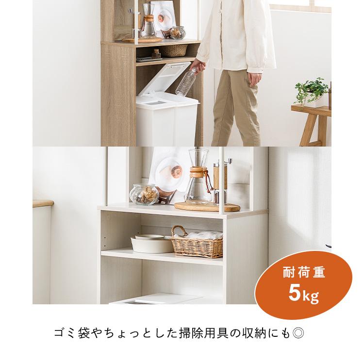 IRIS OHYAMA（アイリスオーヤマ） ゴミ箱ラック 収納 ラック 収納