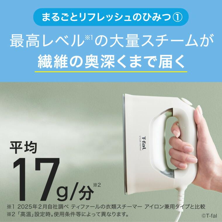 T-fal（ティファール） 送料無料 スチーム ラフレ DV8070J0 DV8075J0