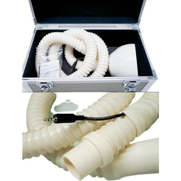 ガイアイオン SAJ ジェラルミン型 AAランク 1年保証 ラドン・イオン