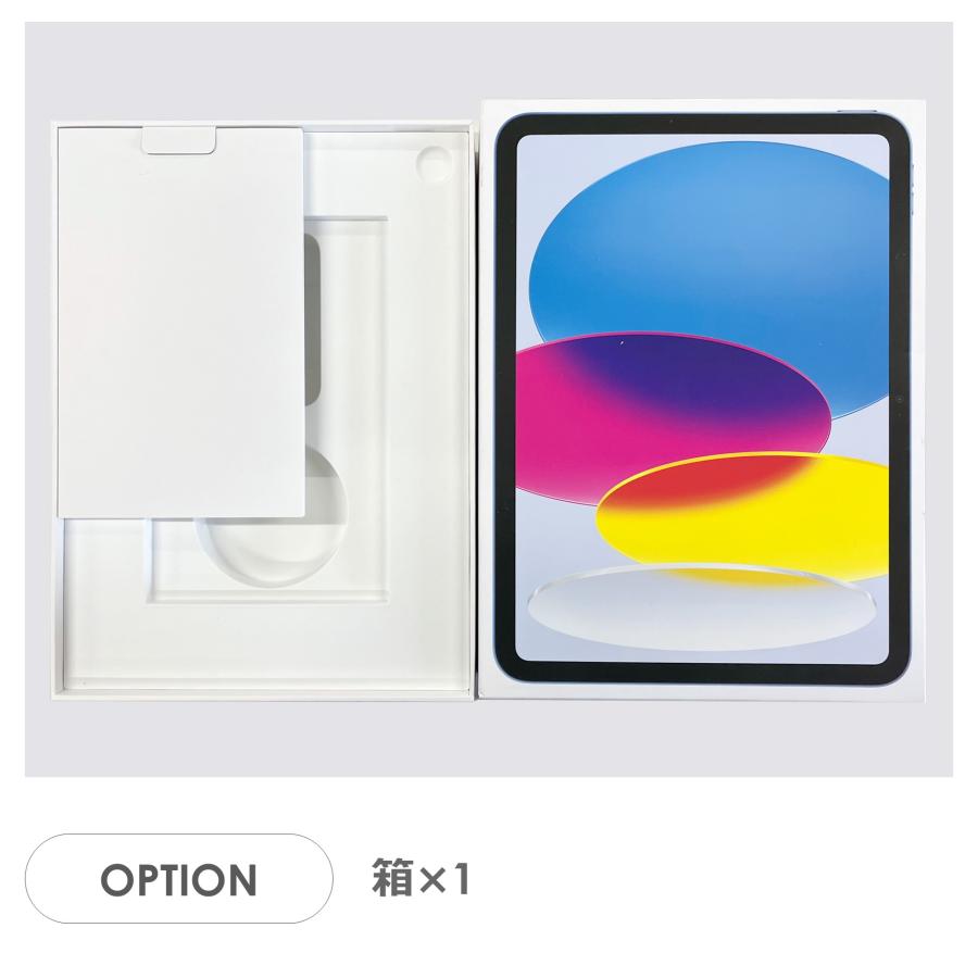 iPad 【Cランク】iPad 第10世代 ブルー 64GB Wi-Fiモデル 箱付き 中古
