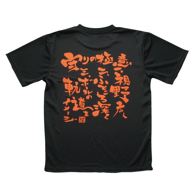 バレー 練習着 半袖 メンズ ドライ Tシャツ 男性 女性 バレーボール