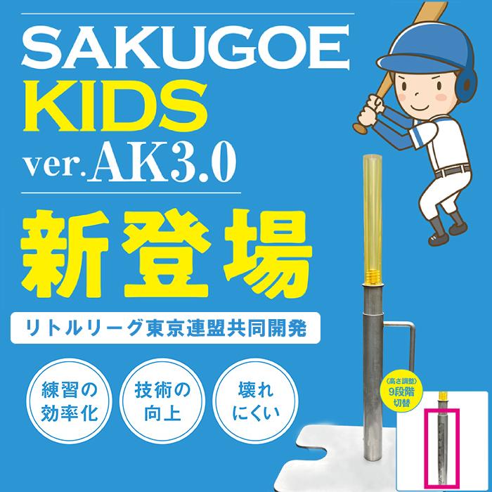 MIZUNO（ミズノ） メーカー直送品 ハング(HANG)少年野球 バッティング