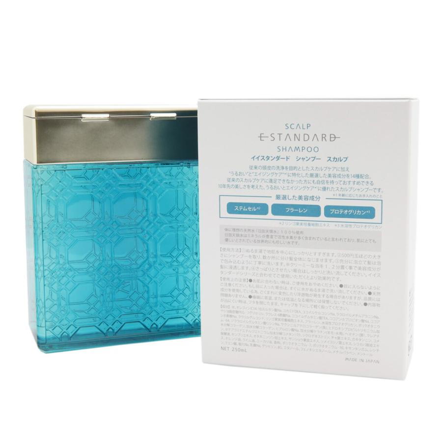 E STANDARD（イイスタンダード） シャンプー スカルプ +