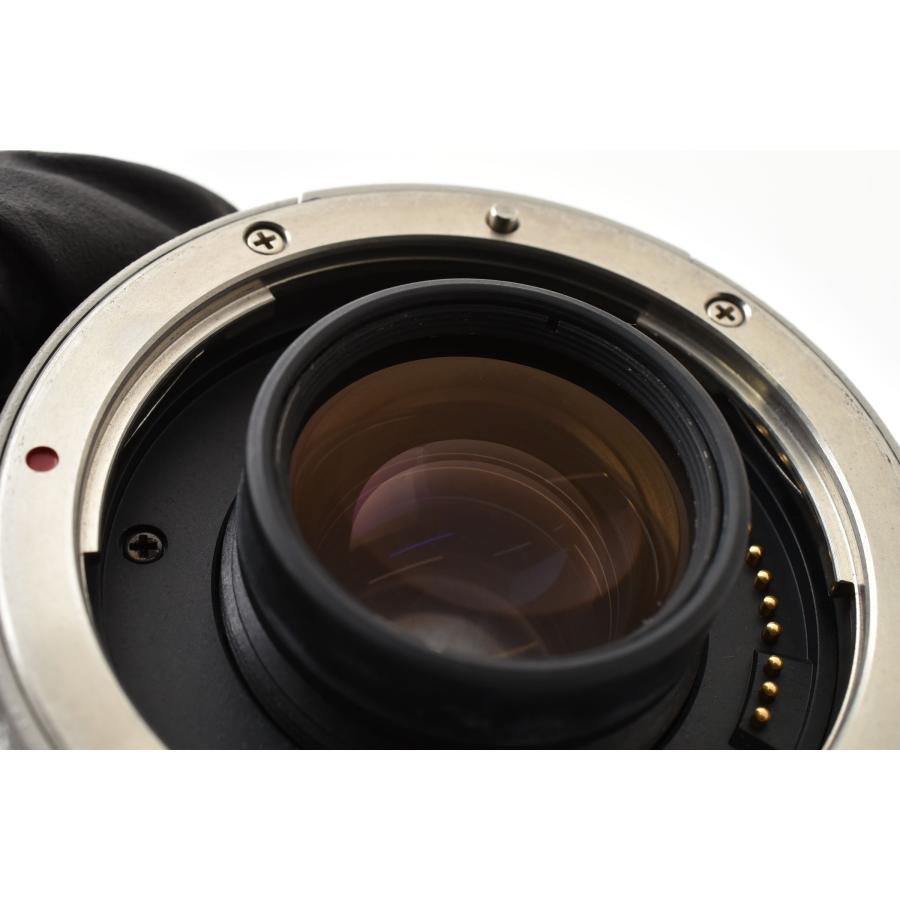 キヤノン（Canon） Canon Extender EF 2x エクステンダー