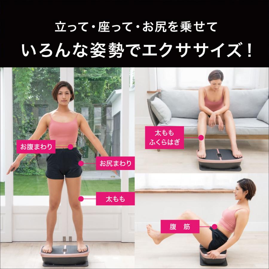 ハイブリッドコア Hybrid Core EMS 振動ボード 体幹トレーニング 振動