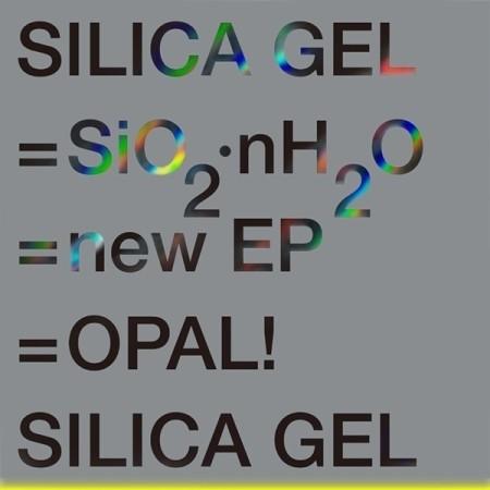 SILICA GEL / SIO2.NH2O(EP)(再発売)｜韓国 K-POP CD｜ : 創業23周年