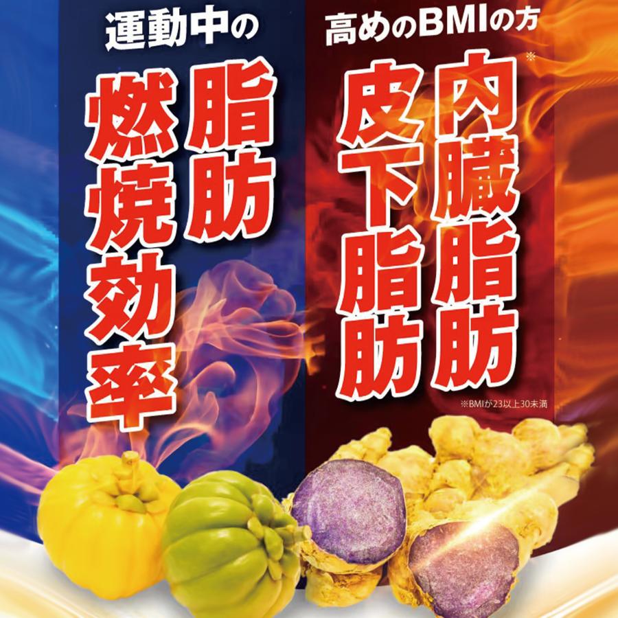 さくらの森 ダイエットサプリ ブラックジンジャー 脂肪燃焼