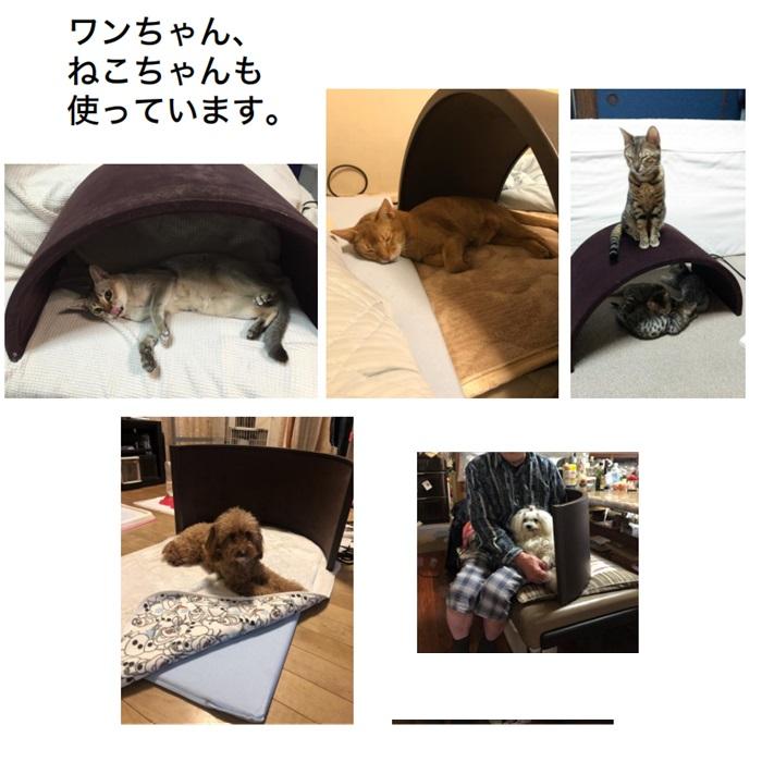 ポイント2倍付【予約販売・納期約1週間】遠赤王 遠赤外線 ボディー