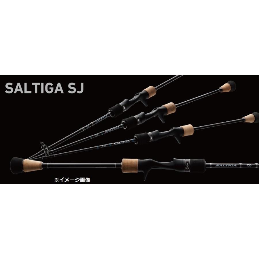 DAIWA（ダイワ） ソルティガSJ61B−1 : 釣具屋 セクター - 通販