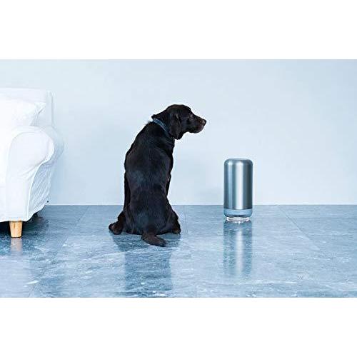 cado カドー 除菌脱臭機 SAP-001 SAP001 シルバー : SKYストア ヤフー