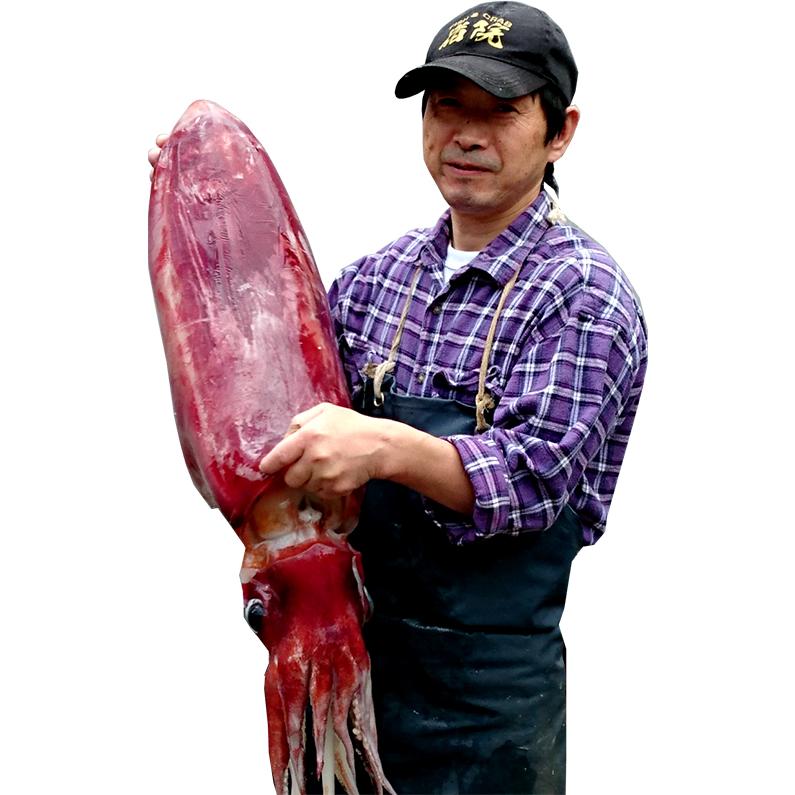 香住産 赤いか 切身 約300g ソデイカ タルイカ セーイカ アカイカ 赤